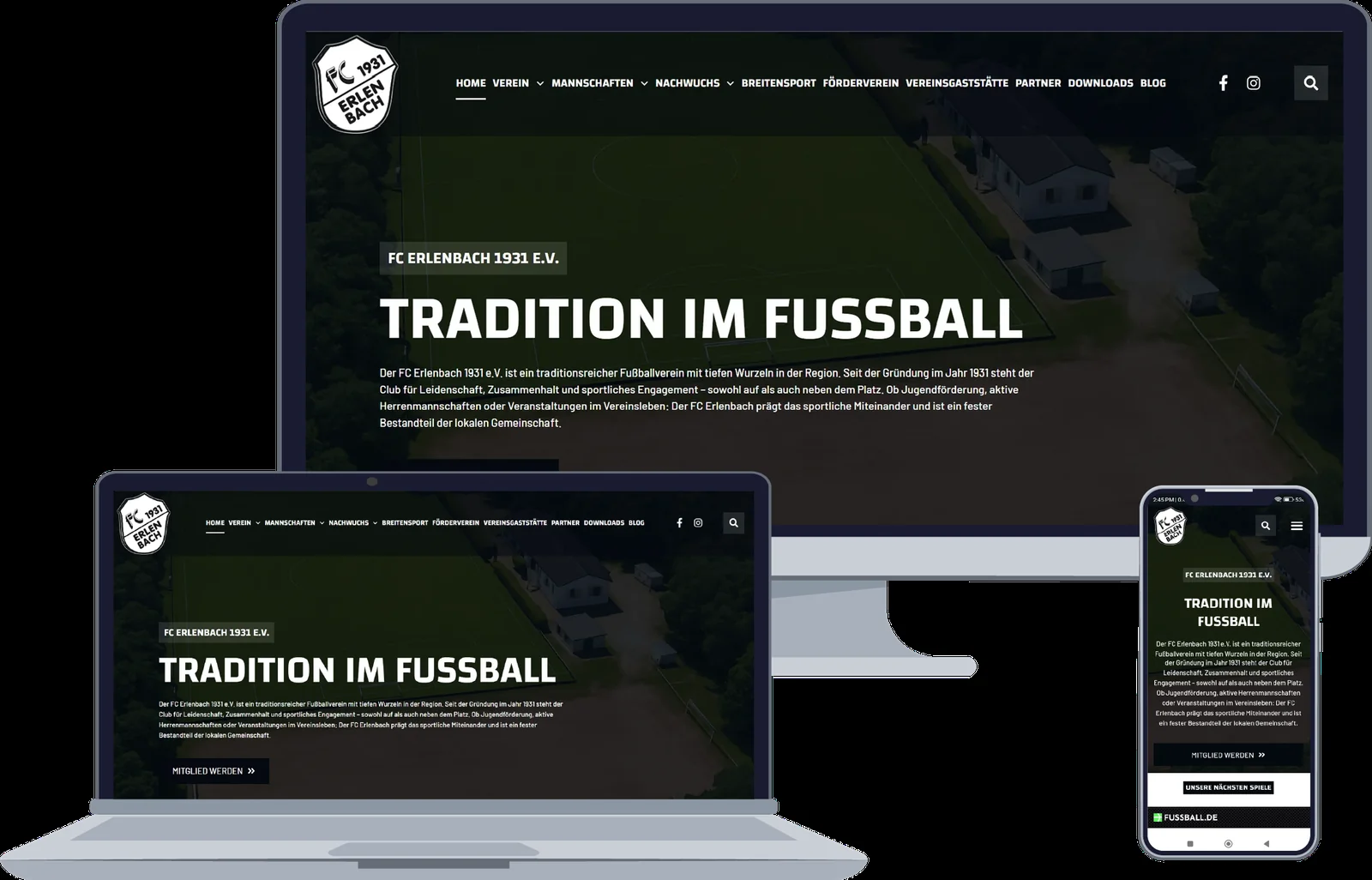 Vorschau des Projekts FC Erlenbach